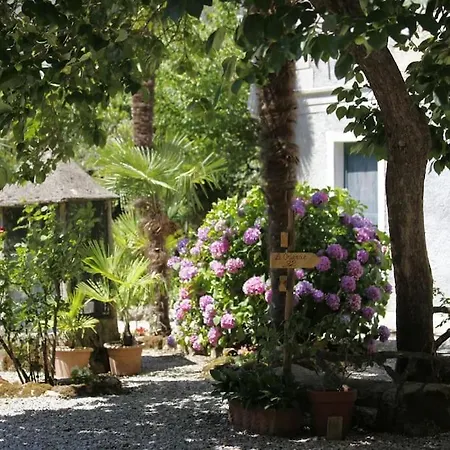 Le Rose Di Vittoria Nel A Pochi Minuti Di Auto Dalle Spiagge Daire