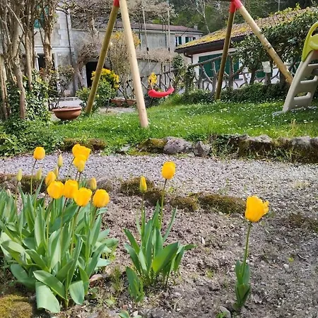 Le Rose Di Vittoria Nel A Pochi Minuti Di Auto Dalle Spiagge Lägenhet Borgonovo